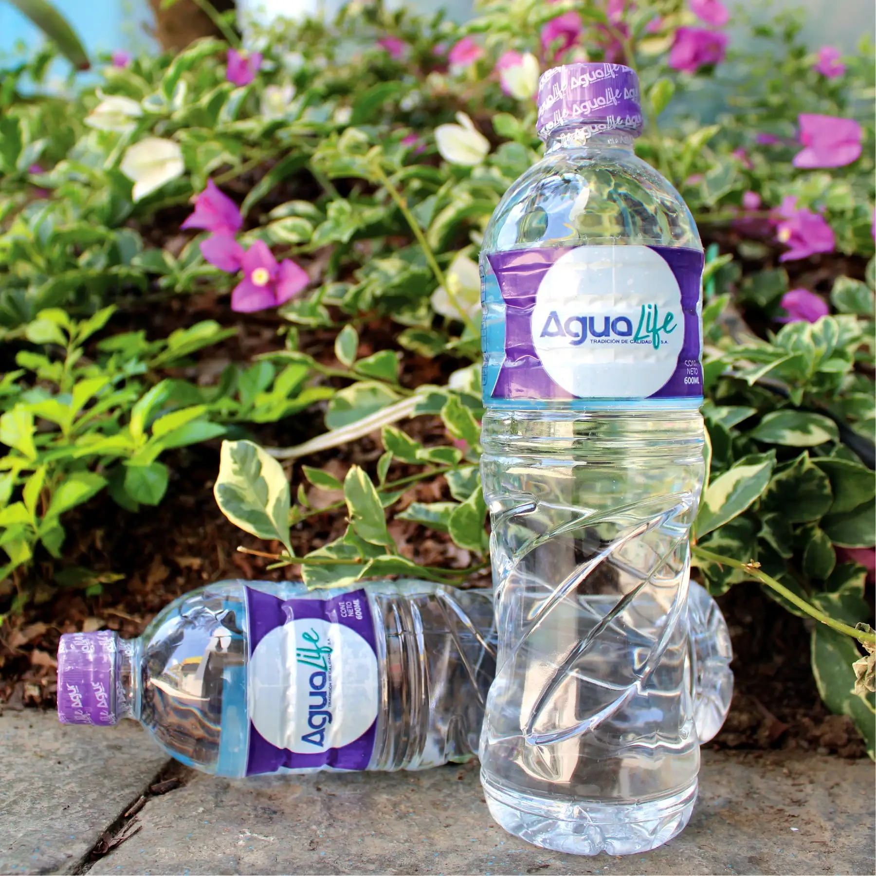 Botellas Agualife de 600 ml entre flores